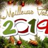 meilleurs-voeux2-2019