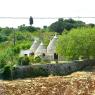 1126-JLP-Pouilles