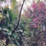 Anduze-5